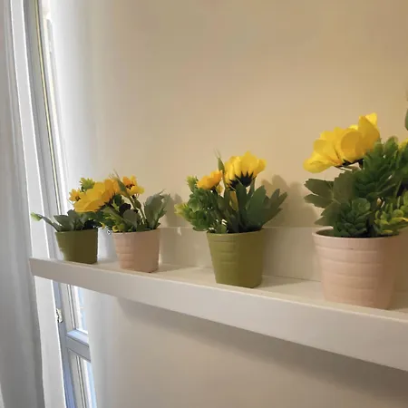 Bed & Breakfast Amici Miei